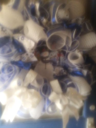 Customer photo review of 10.25"X10Yd Stripe Mesh Royal Blue/White RE1316N6