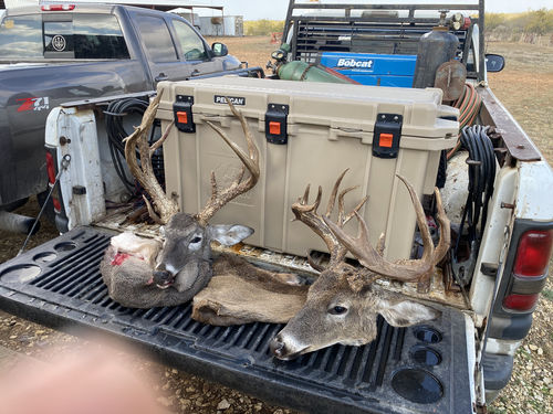 Customer photo review of Pelican™ 150QT Elite Cooler