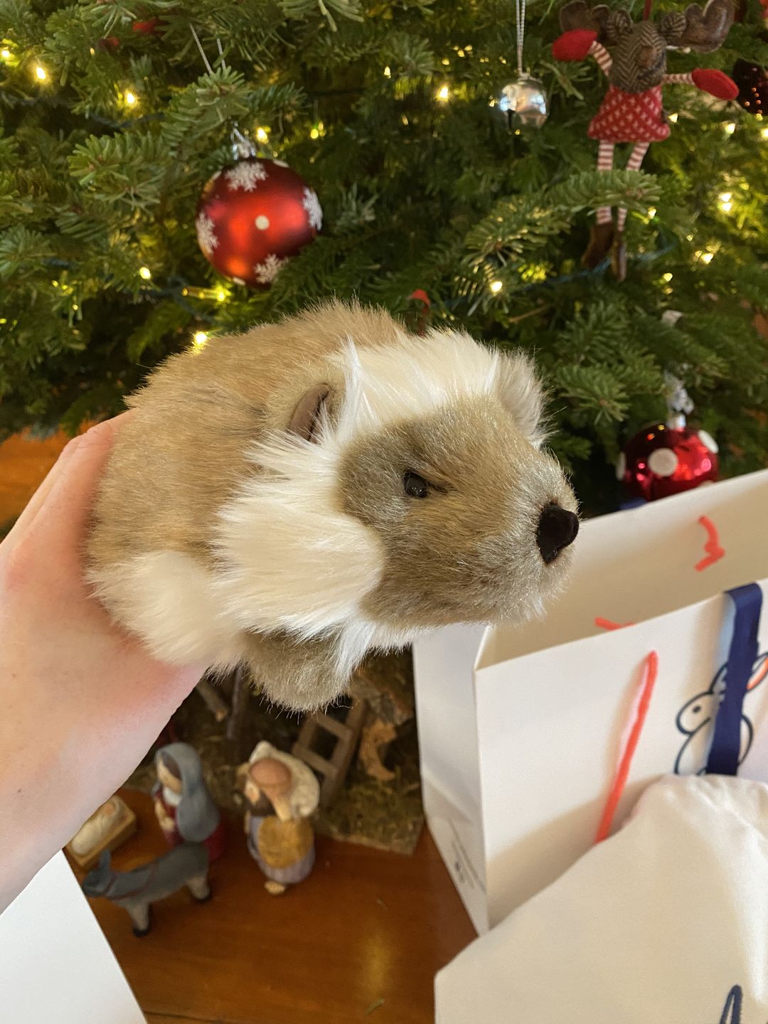 Customer photo review of Ma peluche Hérisson Alfred