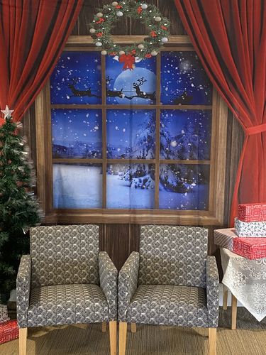 Customer photo review of Kate Wood Window Christmas Backdrop Designed by Chain Photography