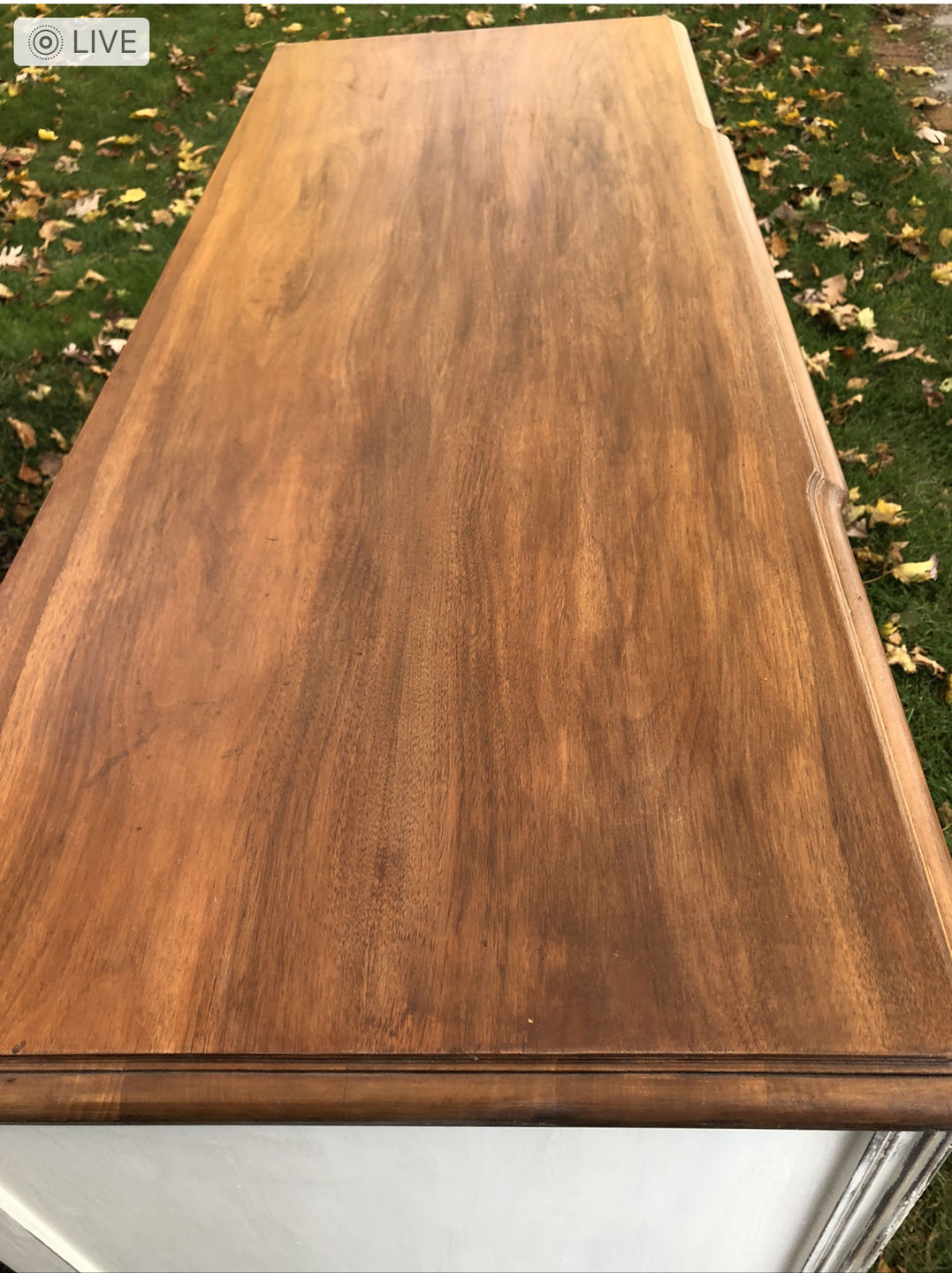 Customer photo review of Auburn Mahogany - Gel Stain