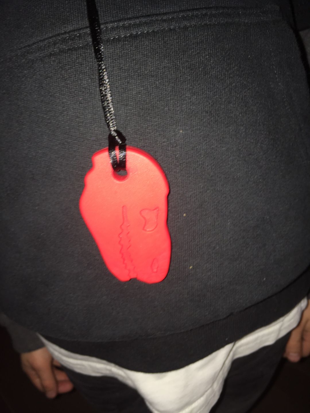 Customer photo review of Collier à mâcher tête de dinosaure