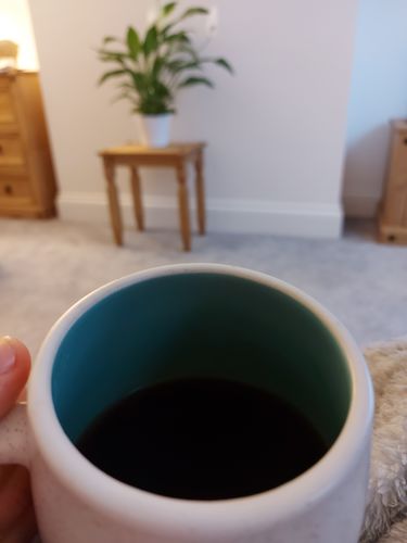 Customer photo review of Jingle Blend
