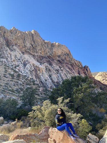 Customer photo review of GYMKARTEL® ANTI-CELLULITE AND PUSH UP LEGGINGS - BLUE