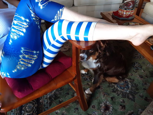 Customer photo review of Pine Christmastripes Capri