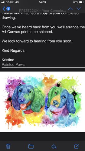 Customer photo review of Rainbow Inspired Painted Paw