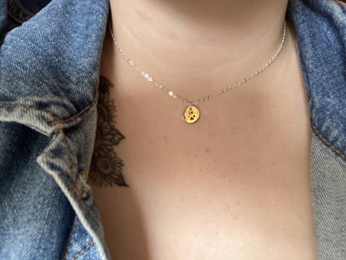 Customer photo review of Double-Sided Custom Paw Necklace