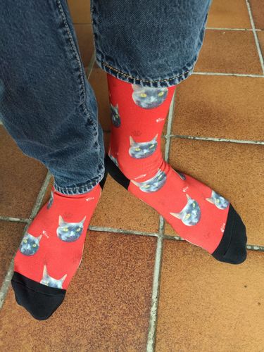 Customer photo review of Chaussettes Personnalisées Animal