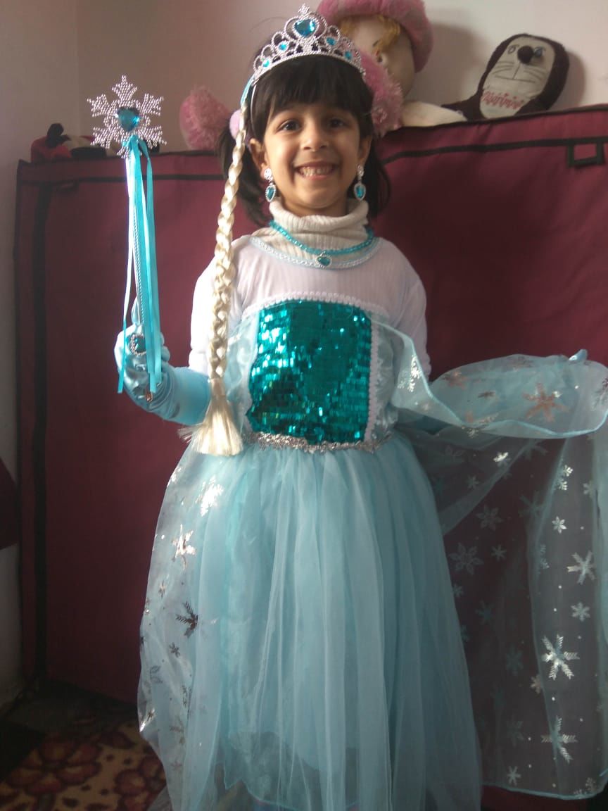 Customer photo review of Frozen Elsa Princess costume with 8 pack accessories