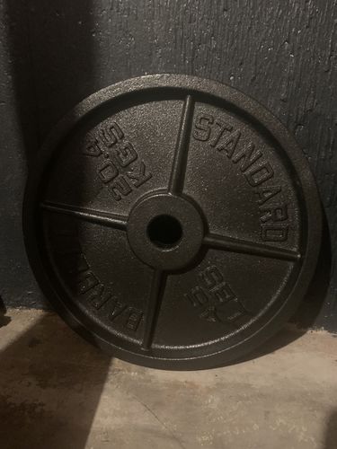 Customer photo review of 45lb    cast iron plates - pair