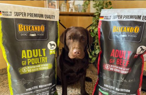 Customer photo review of Belcando® Mastercraft Tacchino Fresco