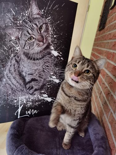 Customer photo review of Graffiti