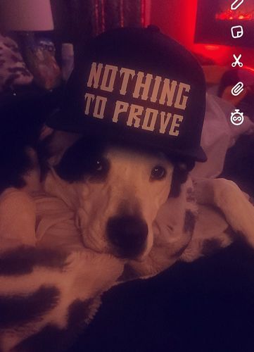 Customer photo review of 565 - Prove Hat