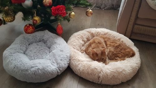 gadgets group dog bed
