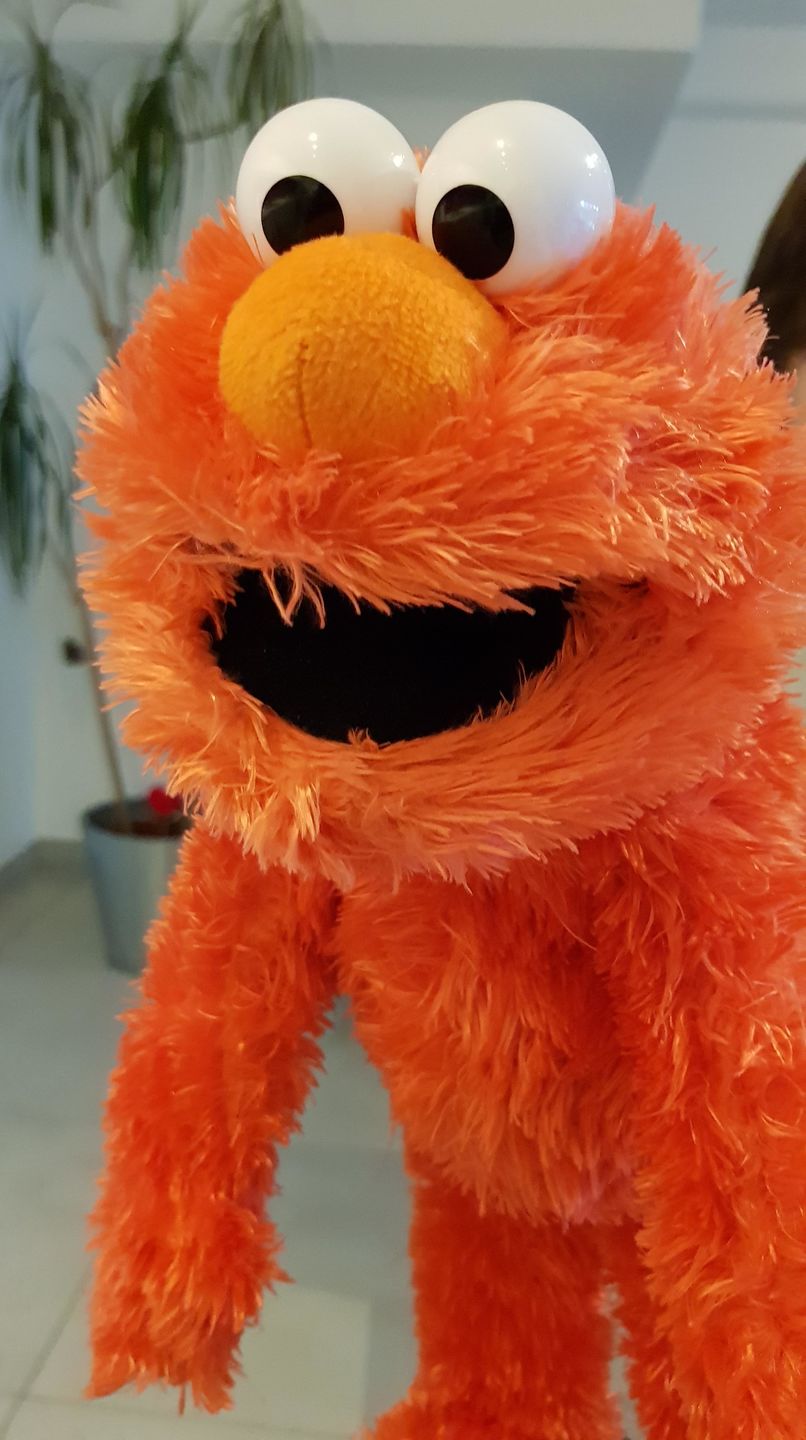 Customer photo review of Elmo Marionnette Sesame Street