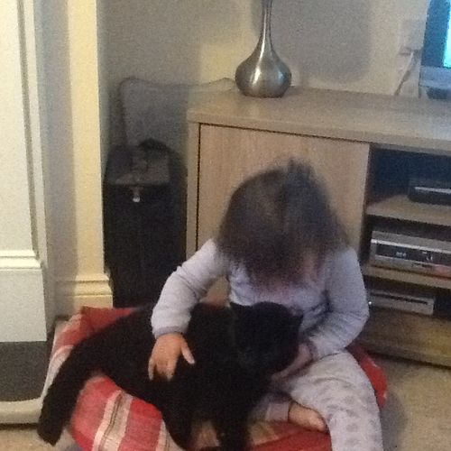 Customer photo review of Sustainable Litter