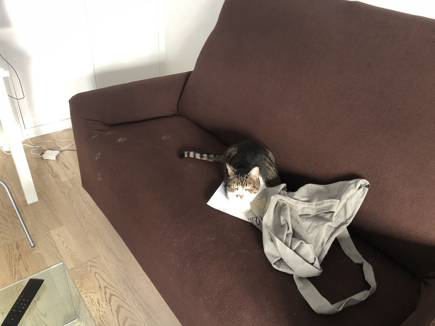 Customer photo review of Blanc cassé rose - Housses 100% Waterproof et Ultra résistantes Extensibles de Fauteuil et Canapé - La Maison des Housses
