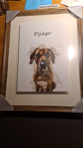 Customer photo review of Individuelles Haustierporträt - Posterdruck