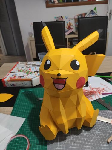 Customer photo review of Pikachu