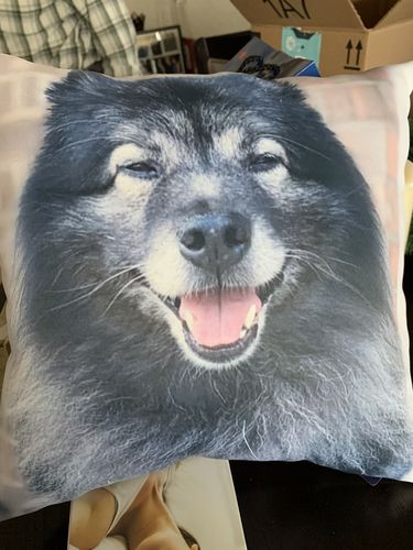 Customer photo review of Create A Custom Object Pillow