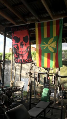 Customer photo review of 407 - Gains Flag