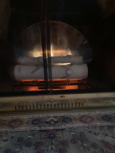Customer photo review of Dimplex Revillusion 20" Electric Birchwood Log Insert