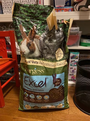 burgess excel junior