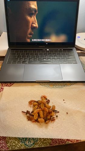 Customer photo review of Sanchang Spicy Peanuts 三昌-小虾干/小鱼干/鱼骨麻辣花生 (1包/Pack)