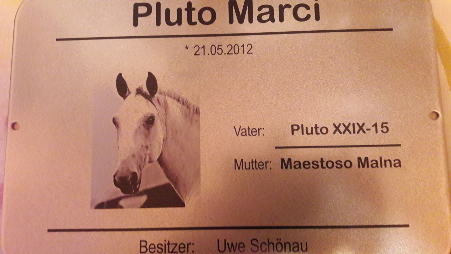 Customer photo review of Personalisierbares Boxenschild  aus gebürsteten Stahl "Stammbaum" im Classic-Design mit Abstammung auch der Großeltern deines Pferdes