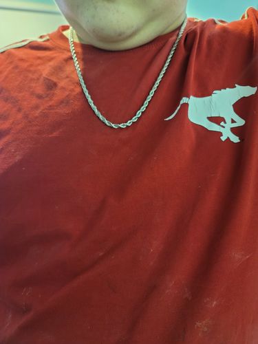 Customer photo review of 4mm Twisted Rope Steel Chain Necklace