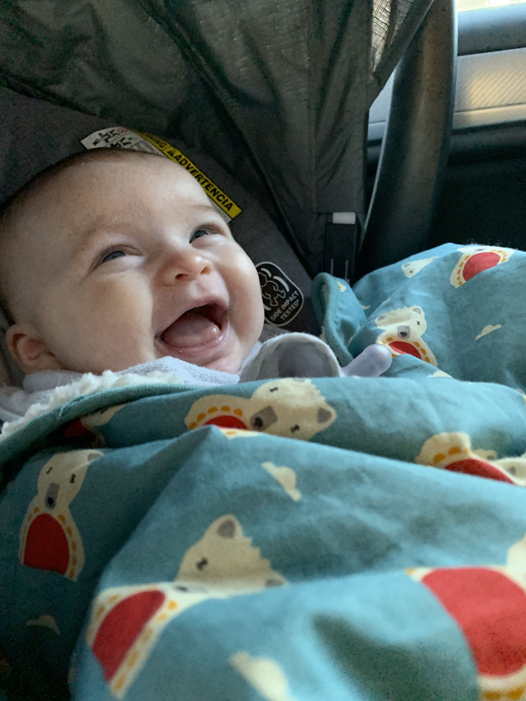 Customer photo review of Polar Bear Blanket