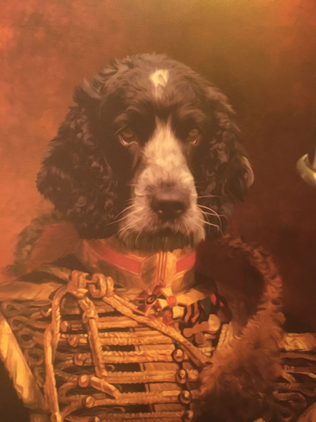 Customer photo review of The Colonel: Custom Pet Canvas