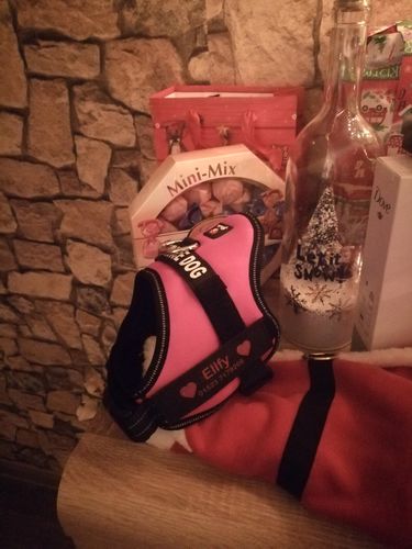 Customer photo review of Pfotenlove - Anti-Zug Personalisiertes Hundegeschirr – Premium Edition