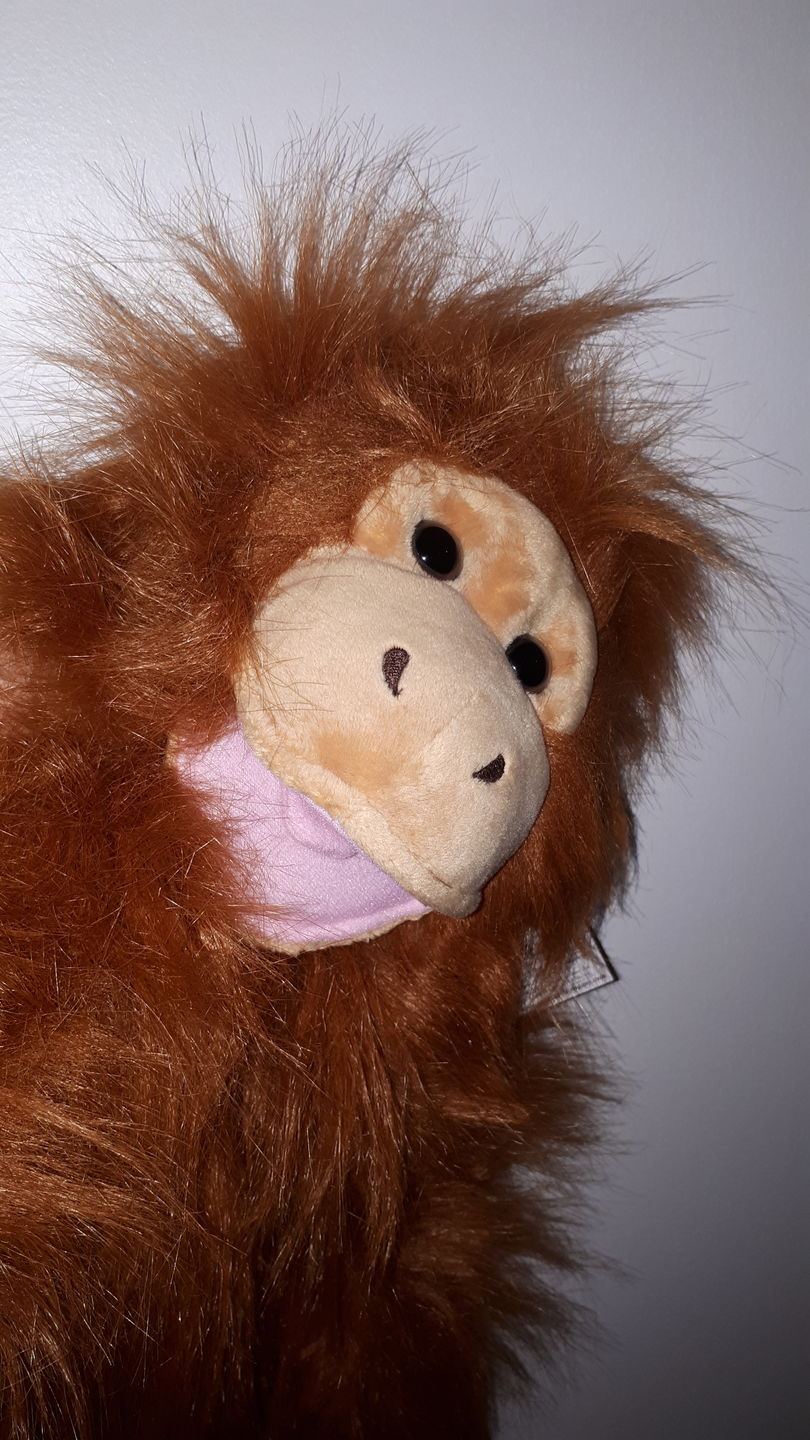 Customer photo review of Orang-Outan  Marionnette