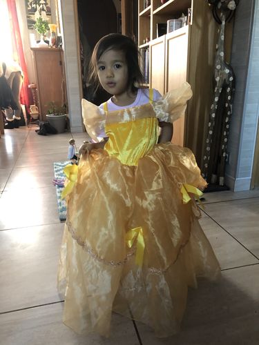 robe de princesse disney fille