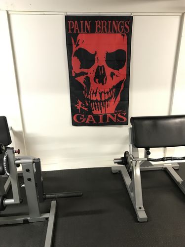 Customer photo review of 407 - Gains Flag