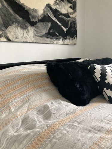 Customer photo review of Renewed Lost Coast Organic Duvet Cover, King