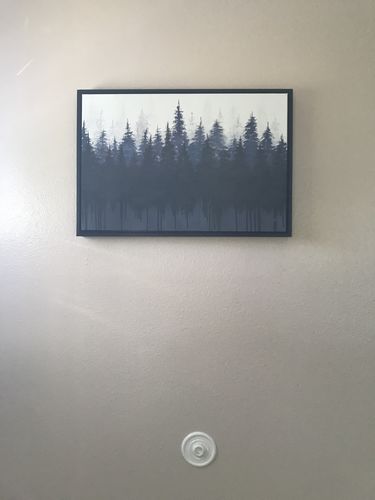 Customer photo review of Tree Shadows