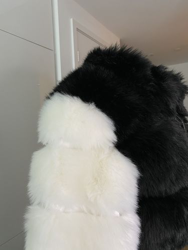 Customer photo review of LADIES CHUKKA TWO TONE