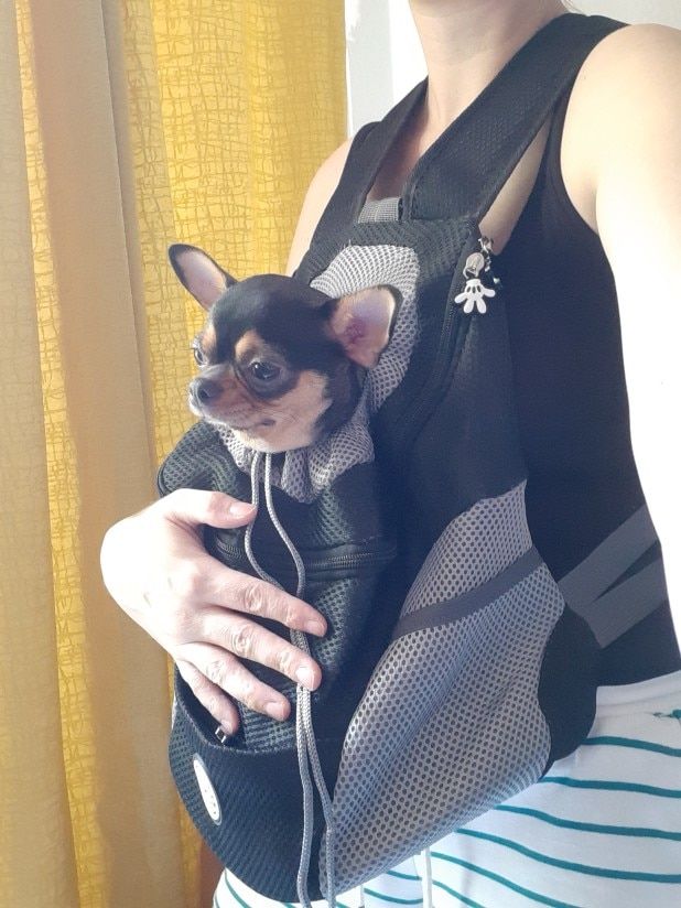 Customer photo review of Fur Sport™ - Pet Backpack Carrier