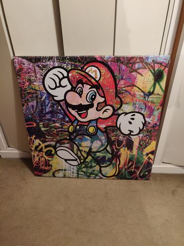Customer photo review of Tableau Mario Street
