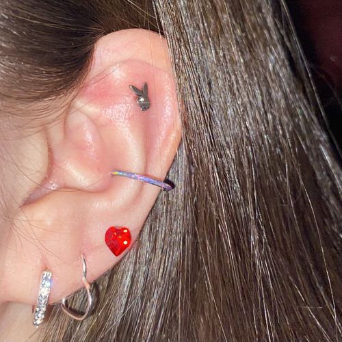 Customer photo review of Playboy Bunny Top Lip Ring