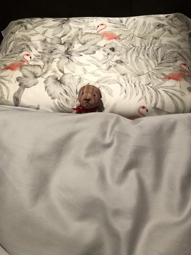 Customer photo review of Flamingos Pure Silk Pillowcase