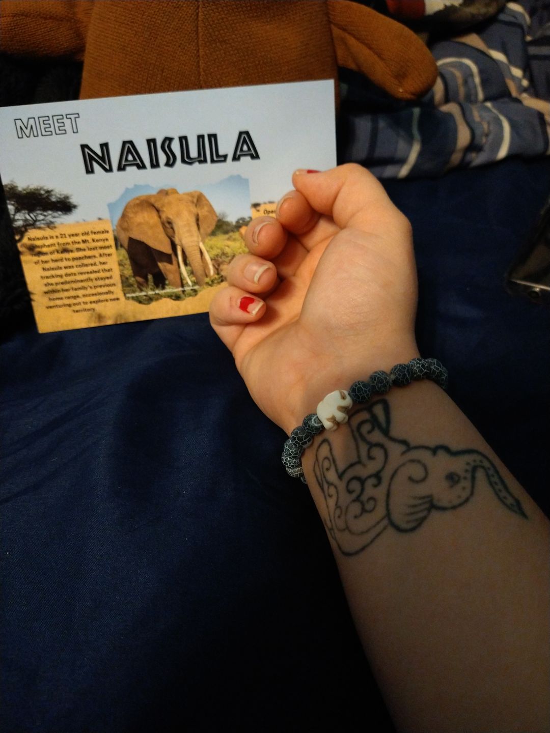Customer photo review of The Expedition Bracelet