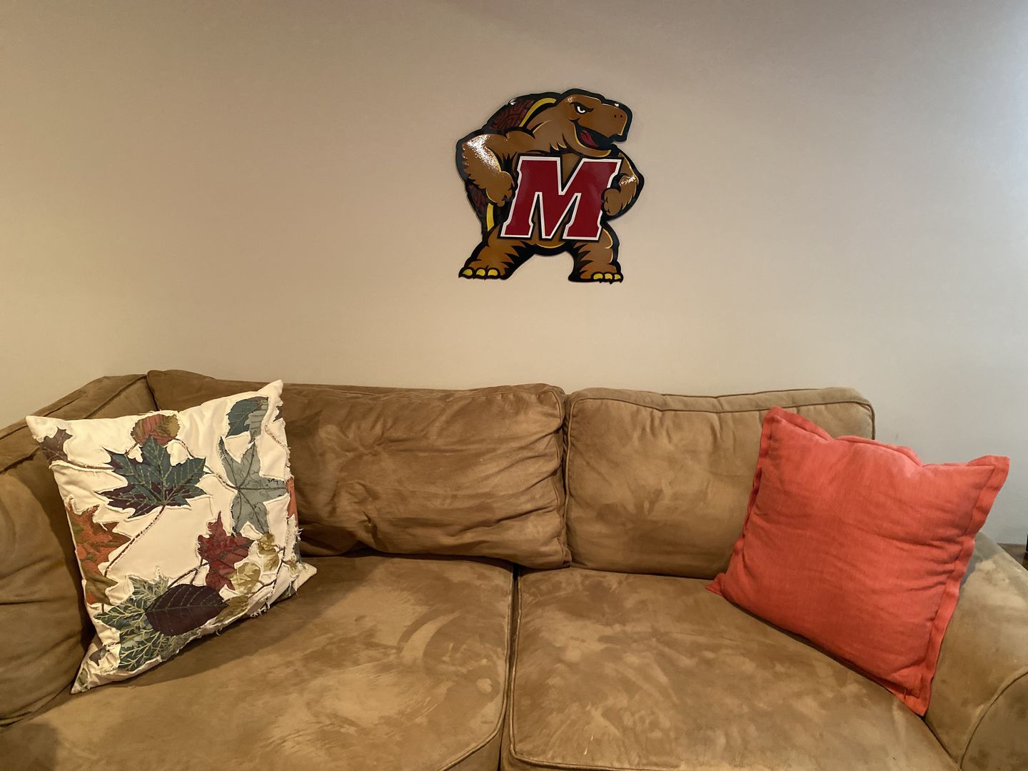Customer photo review of University of Maryland Terrapins "Testudo" 3D Vintage Metal Art
