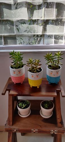 Customer photo review of Smiling Planter (Set of 3)