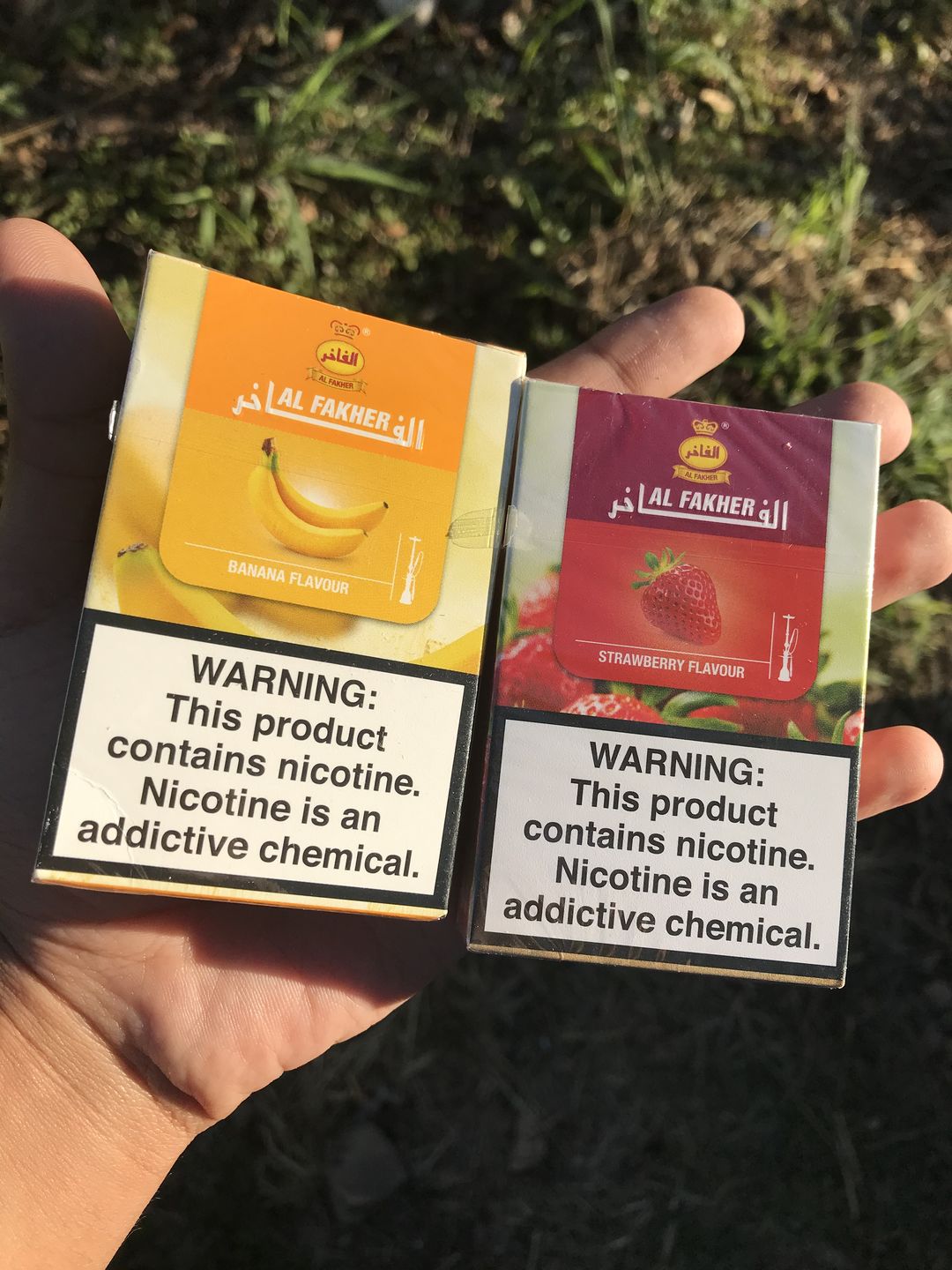 Customer photo review of Al Fakher Shisha 50g
