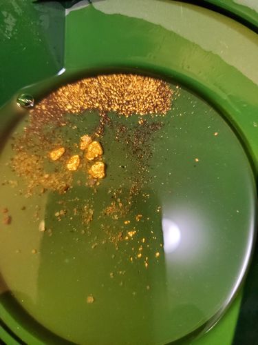 Customer photo review of *BOGO* Goldn Paydirt '$5,000 Nugget Giveaway' - Gold Panning Paydirt Concentrate