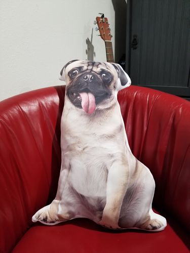 Customer photo review of Create A Custom Dog Pillow