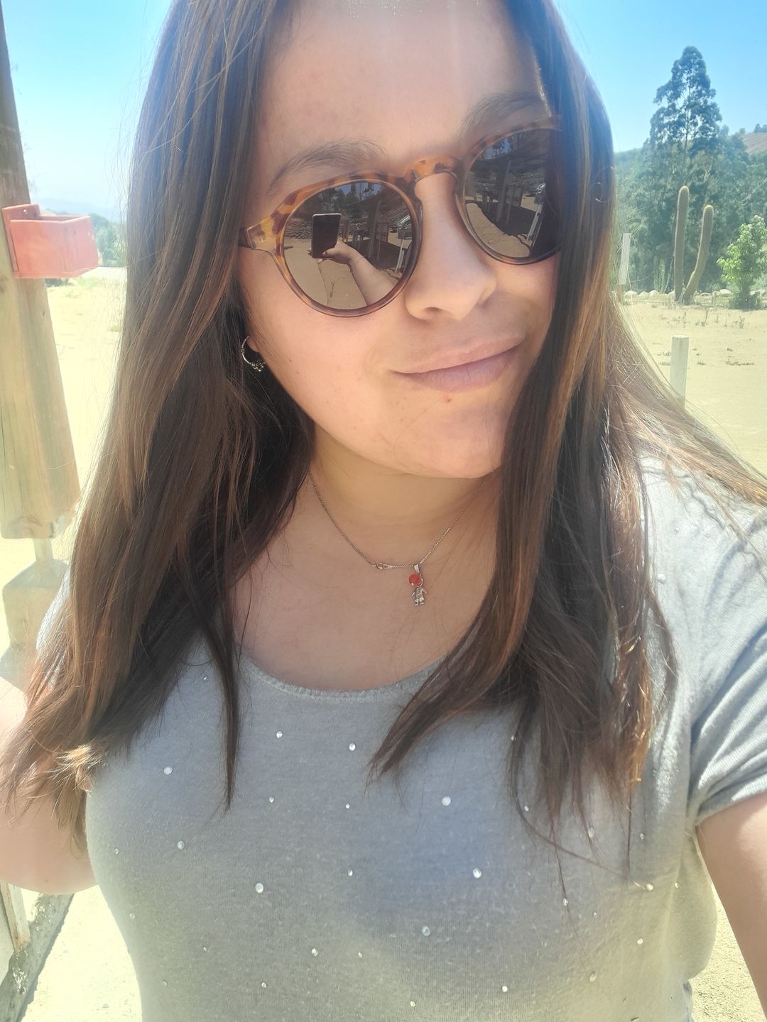 Customer photo review of Stone Tortoise